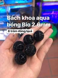 BÓNG BIO SIZE 2.6MM
